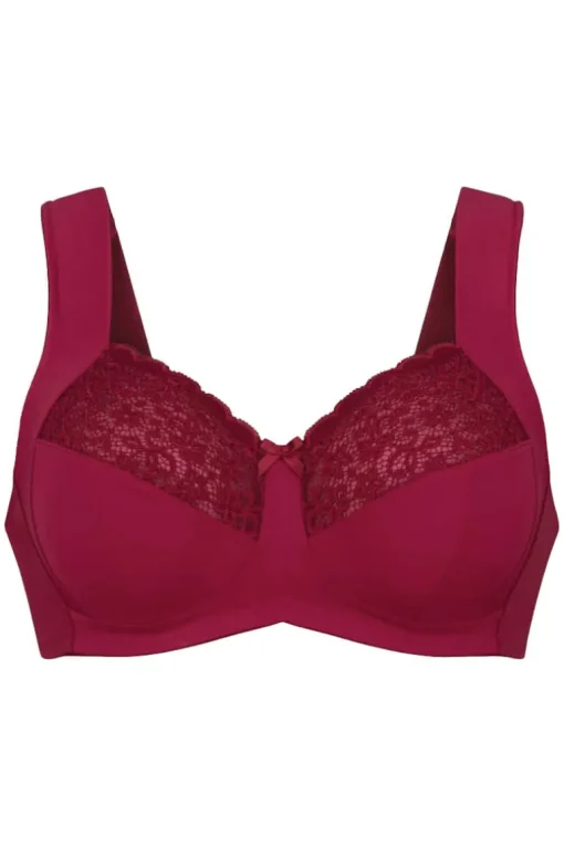 Comfort BH Anita Havanna Dark Red 5813