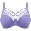 Plunge BH Elomi Brianna Jacaranda