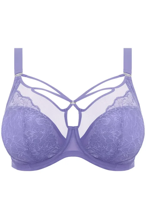 Plunge BH Elomi Brianna Jacaranda