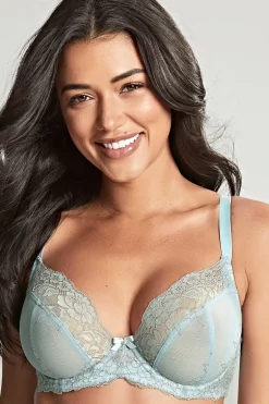 Plunge BH Panache Ana Blue Ash Rose